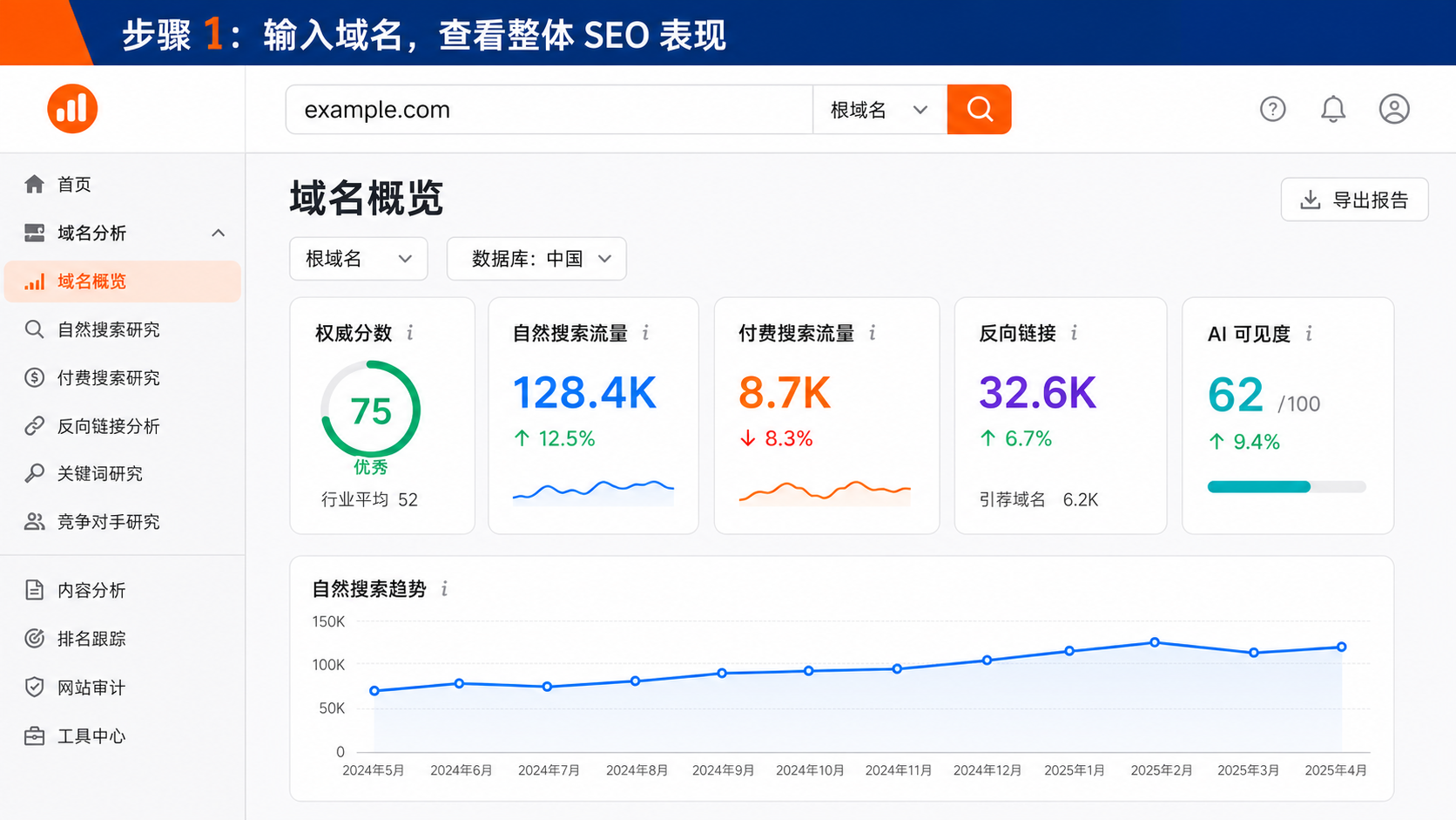 步骤 1：输入域名，查看整體 SEO 表现