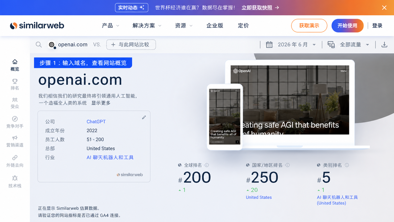 步骤 1：输入域名，查看網站概覽